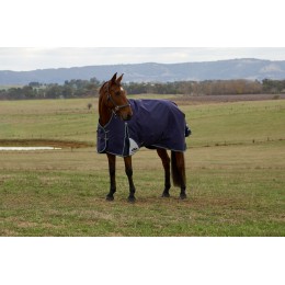 Weatherbeeta Comfitec Plus Dynamic попона с высоким воротом 220G