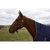 Weatherbeeta Comfitec Plus Dynamic Turnout High Neck 100G