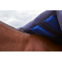 Weatherbeeta Comfitec Plus Dynamic попона с высоким воротом 220G