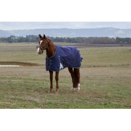 Weatherbeeta Comfitec Plus Dynamic попона 0G