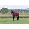 Weatherbeeta Comfitec Essential Turnout Detach-A-Neck 50G