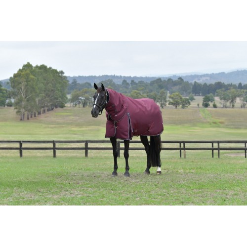 Weatherbeeta Comfitec Essential Turnout Detach-A-Neck 50G