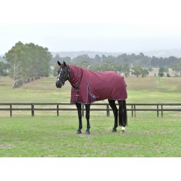 Weatherbeeta Comfitec Essential попона Combo 220G