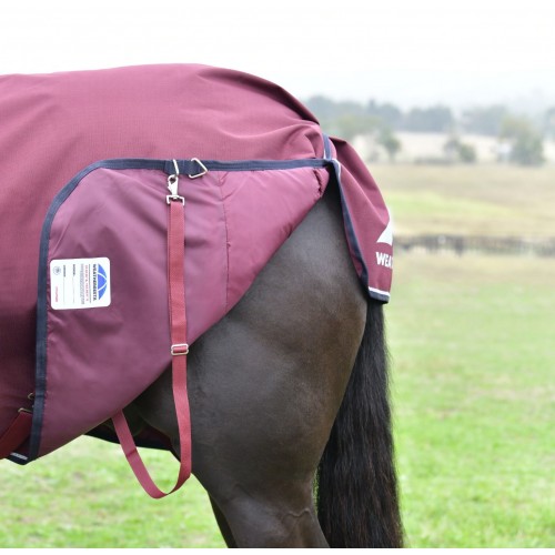 Weatherbeeta Comfitec Essential Turnout Combo 220G