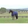 Weatherbeeta Comfitec Essential Turnout 220G