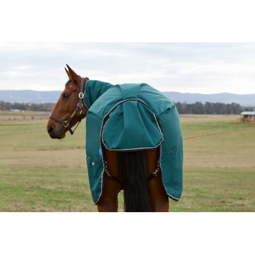 Weatherbeeta Comfitec Classic Turnout Combo 220G
