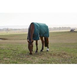 Weatherbeeta Comfitec Classic попона 50G