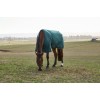 Weatherbeeta Comfitec Classic Turnout 220G