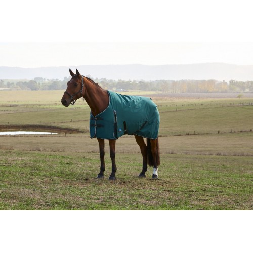 Weatherbeeta Comfitec Classic Turnout 220G