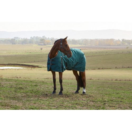 Weatherbeeta Comfitec Classic Turnout 220G