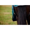 Weatherbeeta Comfitec Classic Turnout 220G