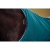Weatherbeeta Comfitec Classic Turnout 220G