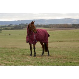 Weatherbeeta Comfitec Prelim попона Combo 0G