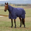 Weatherbeeta Comfitec Prelim Turnout Combo