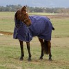 Weatherbeeta Comfitec Prelim Turnout Combo