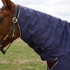 Weatherbeeta Comfitec Prelim Turnout Combo