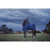 Weatherbeeta Comfitec Prelim Turnout 220G