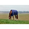 Weatherbeeta Comfitec Tyro Turnout Standard Neck 50G