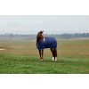 Weatherbeeta Comfitec Tyro Turnout Standard Neck 50G