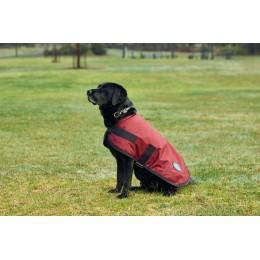 Weatherbeeta Comfitec Classic водонепроницаемый пальто для собак