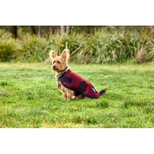 Weatherbeeta Comfitec Classic Waterproof Dog Coat