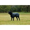 Weatherbeeta Comfitec Classic Waterproof Dog Coat