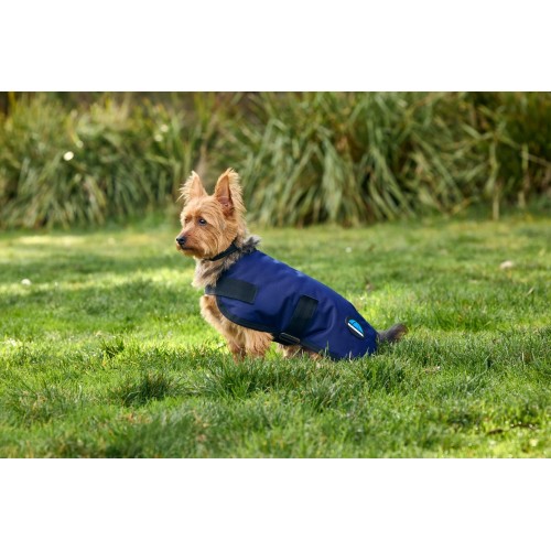 Weatherbeeta Comfitec Classic Waterproof Dog Coat