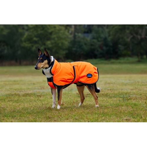 Weatherbeeta Comfitec Reflective 300D Deluxe Showerproof Dog Coat