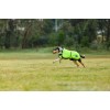 Weatherbeeta Comfitec Reflective 300D Deluxe Showerproof Dog Coat