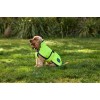 Weatherbeeta Comfitec Reflective 300D Deluxe Showerproof Dog Coat