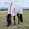 Weatherbeeta Comfitec Essential Fly Sheet Combo