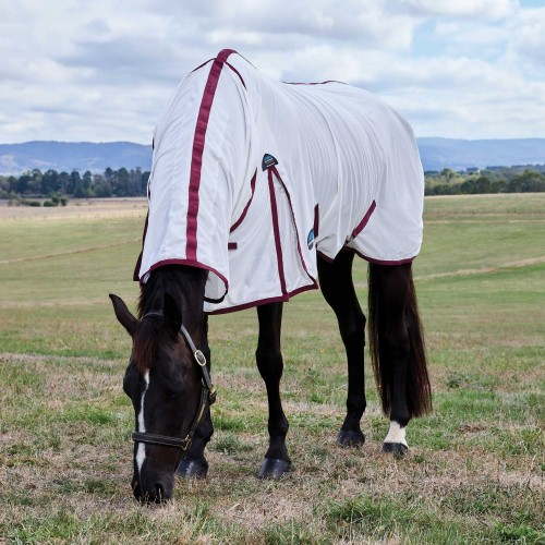 Weatherbeeta Comfitec Essential Fly Sheet Combo