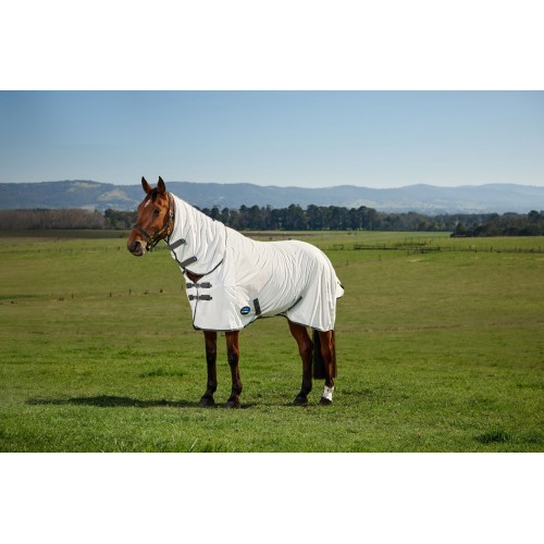 Weatherbeeta Comfitec Tyro Fly Sheet Combo