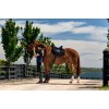 Weatherbeeta Suede Elite Air-Tec All-Purpose Saddlepad