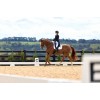 Weatherbeeta Satin Luxe Air-Tec Dressage Saddlepad