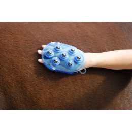 Covalliero Magnetische Massage Roskam