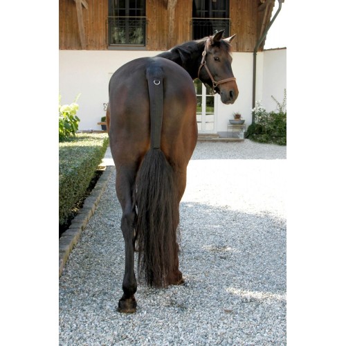 Covalliero Tail Guard with ring