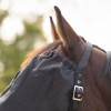 QHP Halter-Fly mask combi