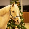 QHP Head collar Christmas