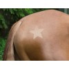 Covalliero Clipping Stencil for Horses, 3-Piece Set