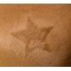 Covalliero Clipping Stencil for Horses, 3-Piece Set