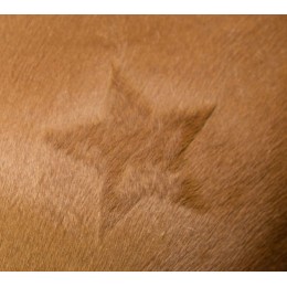 Covalliero Clipping Stencil для Horses, 3-Piece комплект