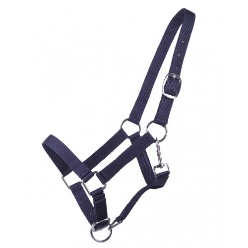 Q-essentials Yearling Halter