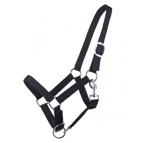 Q-essentials Yearling Halter