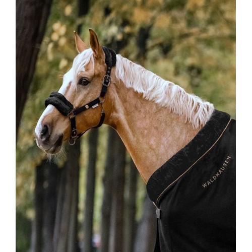Waldhausen Halter modern rosé