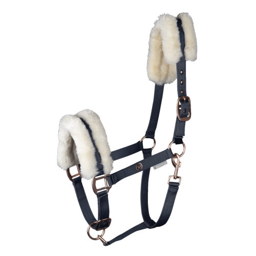 Waldhausen Halter modern rosé