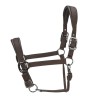 ARMA Pro Padded Headcollar