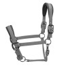 ARMA Pro Padded Headcollar