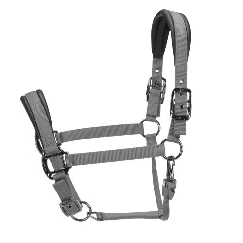 ARMA Pro Padded Headcollar