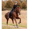 Waldhausen Saddle Pad Felix Glam